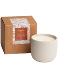 Pumpkin Clove Cement Candle