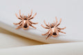 Arachnid Spooky Tarantula Earrings in  925 Sterling Silver